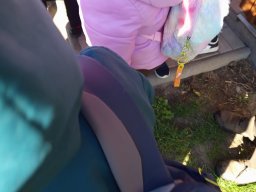 2025-09-24 Krasnale u leśniczego